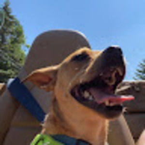 Meet your Posher, Maureen